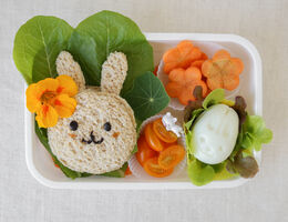 Plate with bread in the shape of a rabbit and carrot slices in the shapes of flowers.