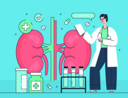 An illustration of kidneys next to various medical items and a physician.