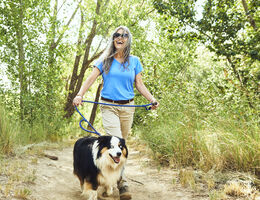 An older person walks their dog on a path through some trees.